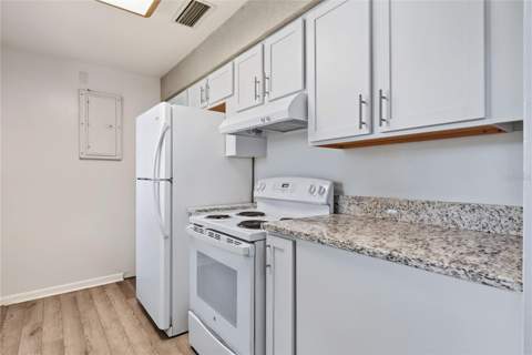 328 E Evergreen Avenue, Longwood FL - photo 6 of 6