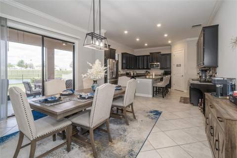 8099 Lago Mist Way, Wesley Chapel FL - photo 14 of 56