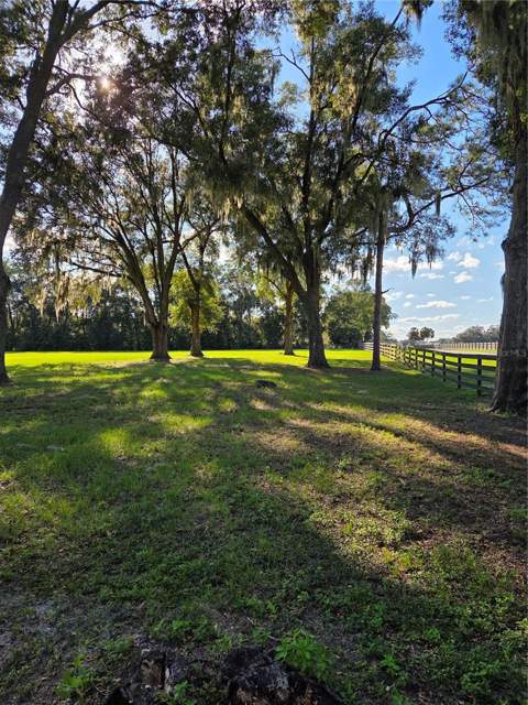 950 W Highway 316, Citra FL - photo 19 of 24