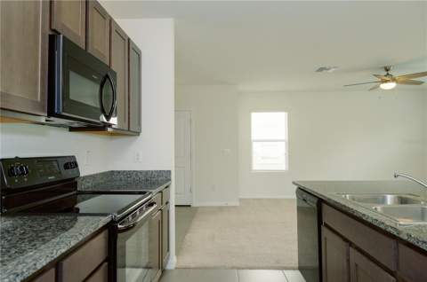 7426 Tuscan Bay Circle, Wesley Chapel FL - photo 15 of 68