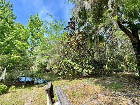 30391 NE 97th Place, Salt Springs FL - photo 8 of 43