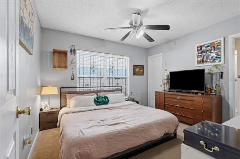 12922 N Albany Avenue, Tampa FL - photo 8 of 38