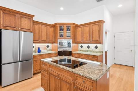 19818 Sea Rider Way, Lutz FL - photo 11 of 43