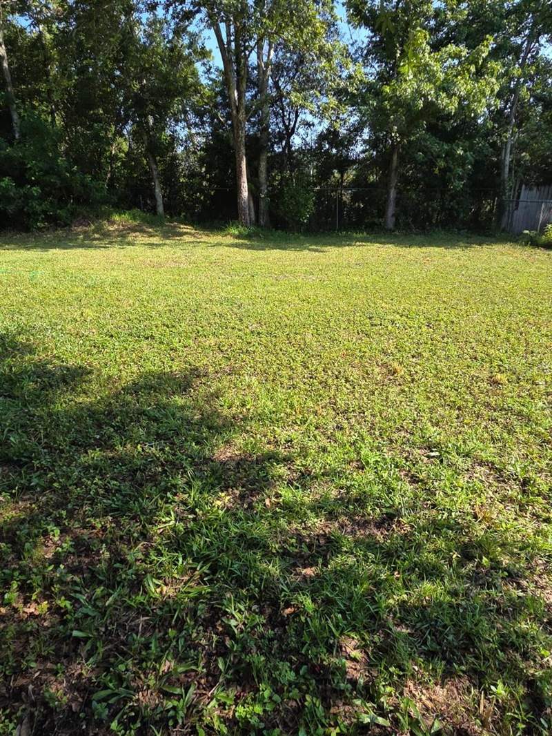 3 bedroom Manufactured Home at 18341 12th Avenue, Bithlo, Orlando — photo 2