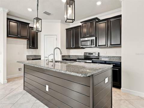 1573 Tallulah Terrace, Wesley Chapel FL - photo 15 of 70