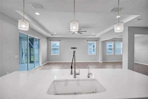 32430 Bannack Lane, Wesley Chapel FL - photo 6 of 66