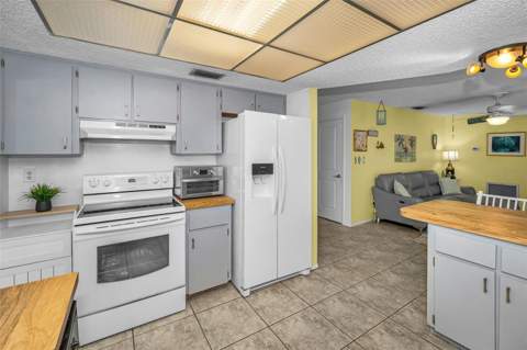 505 Whispering Oak Drive, Tarpon Springs FL - photo 19 of 98