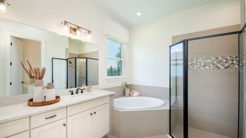 5676 Nevis Terrace, Kissimmee FL - photo 6 of 6
