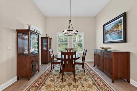 9145 Warm Springs Circle, Parrish FL - photo 20 of 69