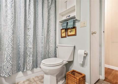 309 Sheerwood Drive, Lady Lake FL - photo 14 of 33