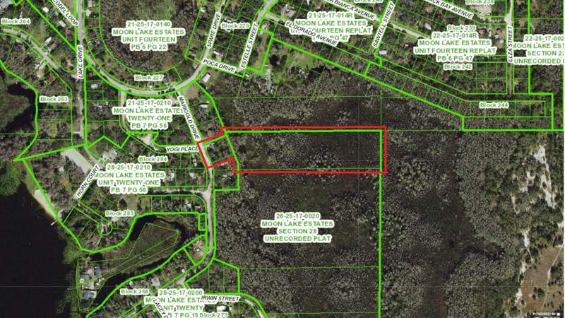 3 bedroom Single Family Residence at 8944 Marigold Drive, Moon Lake Estates, New Port Richey — photo 2