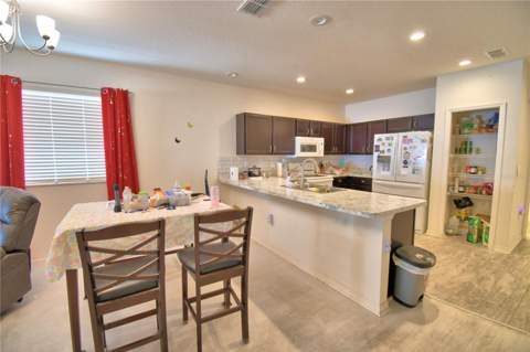 207 Sandestin Drive, Haines City FL - photo 11 of 32