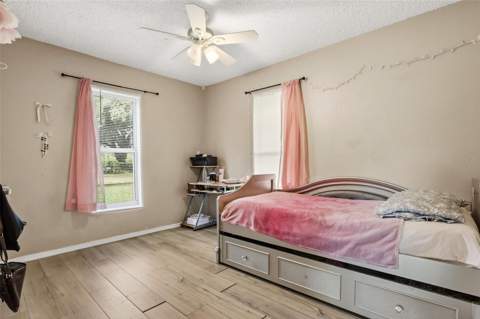 7008 Holly Street, Mount Dora FL - photo 14 of 33