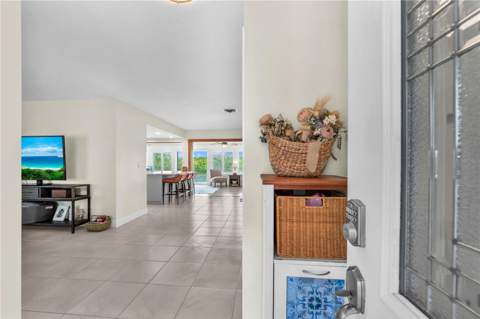 911 Silver Palm Way, Apollo Beach FL - photo 8 of 35
