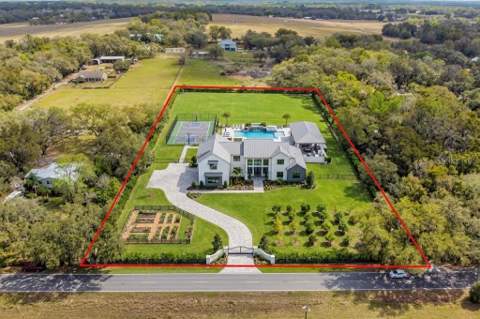 8236 Wire Road, Zephyrhills FL - photo 9 of 18