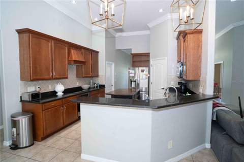 15418 Princewood Lane, Land O Lakes FL - photo 17 of 53