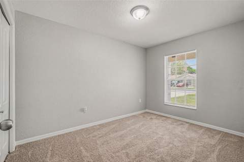 23110 Dover Drive, Land O Lakes FL - photo 13 of 18