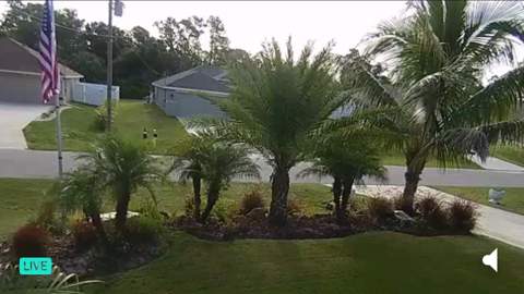 2267 Minerva Road, North Port FL - photo 12 of 13
