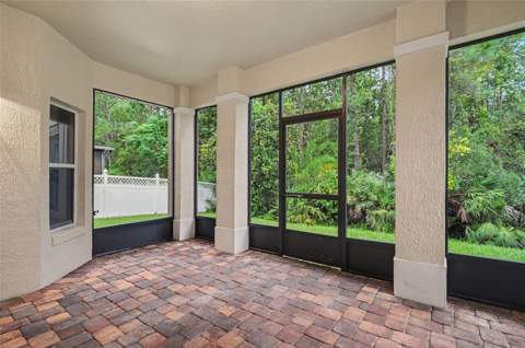 10546 Willow Ridge Loop, Orlando FL - photo 23 of 25