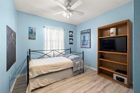 1335 15th Street, Palm Harbor FL - photo 23 of 36