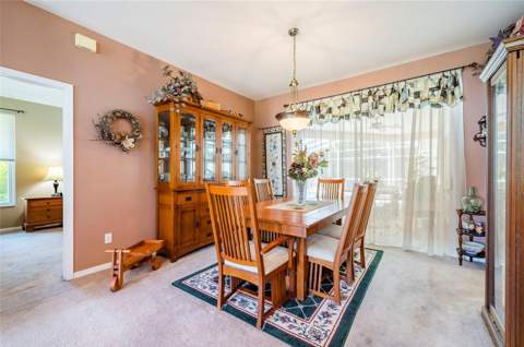 22754 Magnolia Trace Boulevard, Lutz FL - photo 7 of 56