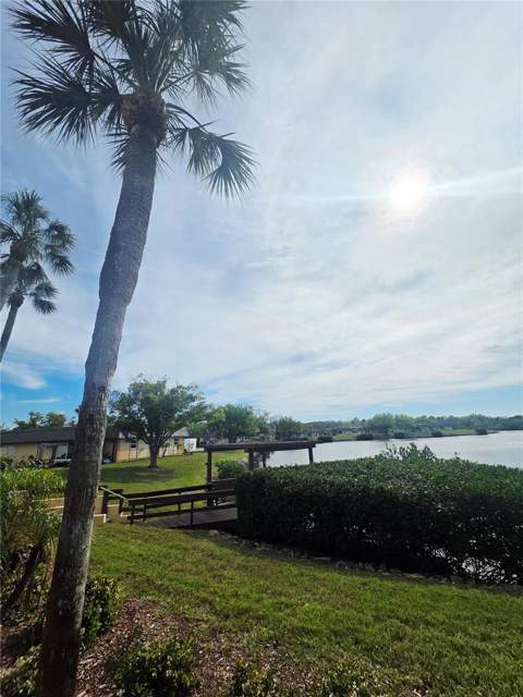 4461 Rustic Drive, New Port Richey FL - photo 23 of 36