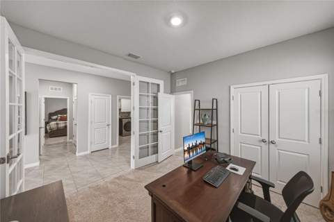 8382 Bower Bass Circle, Wesley Chapel FL - photo 13 of 79