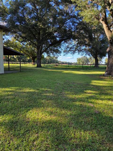 950 W Highway 316, Citra FL - photo 17 of 24