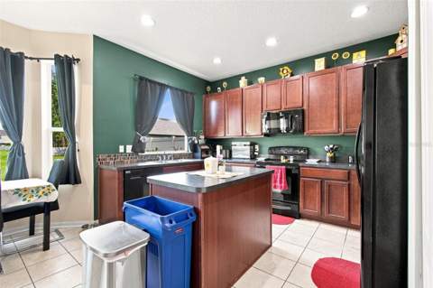 17919 Ayrshire Boulevard, Land O Lakes FL - photo 21 of 78