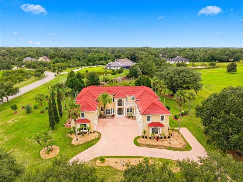 8 bedroom Single Family Residence at 19402 Jacobs River Run, Sanctuary On Livingston Ph, Lutz — photo 2