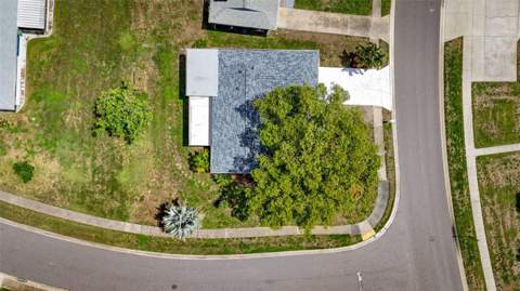 1496 Queen Anne Drive, Palm Harbor FL - photo 6 of 6