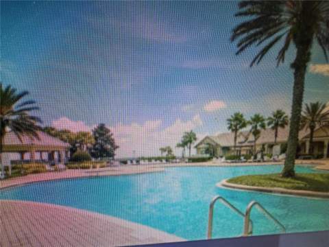 803 Wolf Creek Street, Clermont FL - photo 9 of 54
