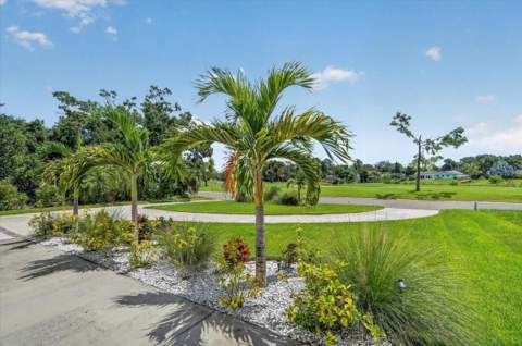 1709 Anastasia Way, St Petersburg FL - photo 10 of 51