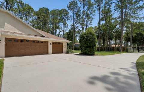 18811 Victor Manuel Drive, Lutz FL - photo 6 of 6