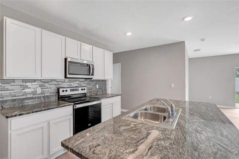 17038 Wave Tressle Place, Wimauma FL - photo 16 of 47