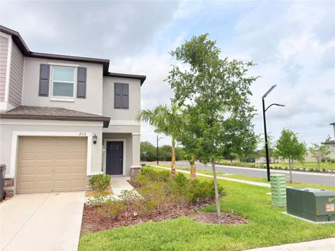 253 Tulip Banded Way, Ruskin FL - photo 6 of 20