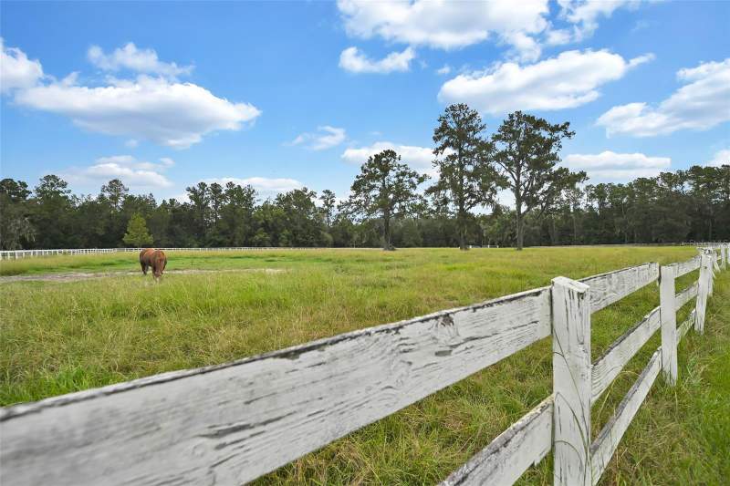 2 bedroom Farm at 19566 NW 123rd Court, Micanopy, Micanopy — photo 2