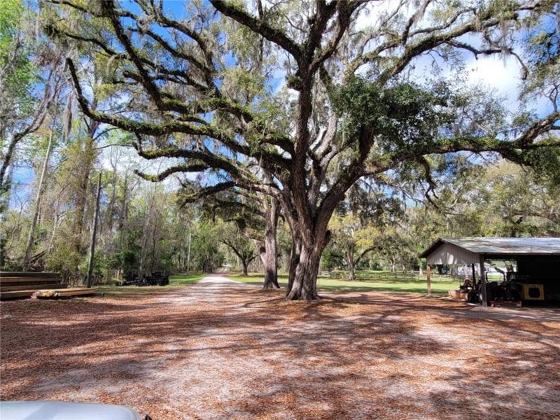 3 bedroom Single Family Residence at 22397 Mondon Hill Road, East Brooksville, Brooksville — photo 5