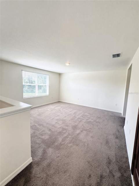 3727 Capri Coast Drive, Plant City FL - photo 9 of 22