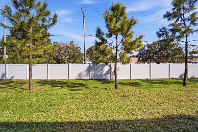 3 bedroom Townhouse at 4459 Globe Thistle Drive, Touchstone, Tampa — photo 5