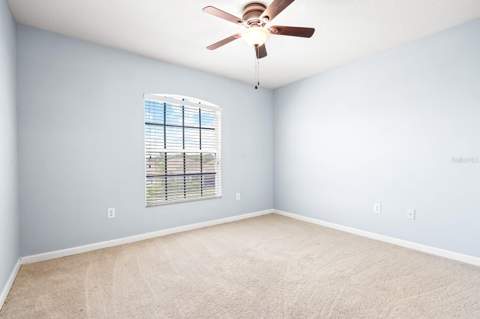 30419 Randall Manor Street, Wesley Chapel FL - photo 21 of 36