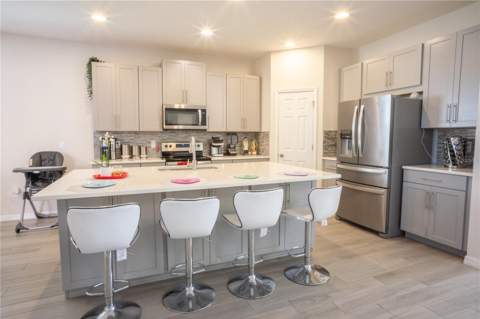 16461 Olive Hill Drive, Winter Garden FL - photo 7 of 41