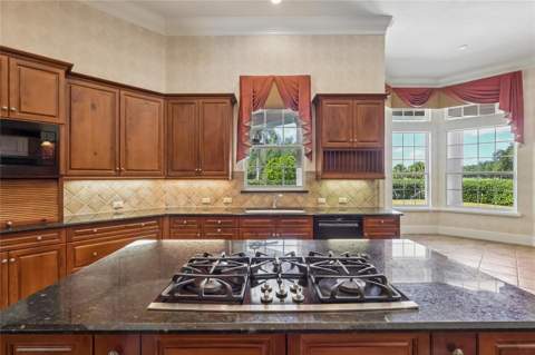 6102 S Hampshire Ct, Windermere FL - photo 13 of 53