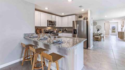 9854 Brave Buck Avenue, Land O Lakes FL - photo 9 of 15