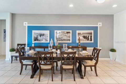 8815 Macapa Drive, Kissimmee FL - photo 10 of 65