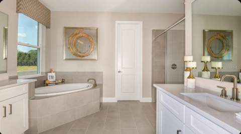 11169 Manor House Lane, Odessa FL - photo 14 of 35