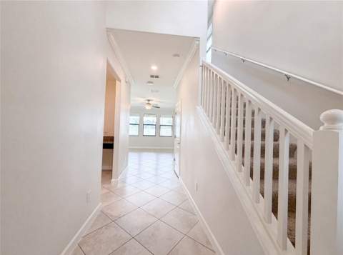 9709 Ivory Drive, Ruskin FL - photo 6 of 6