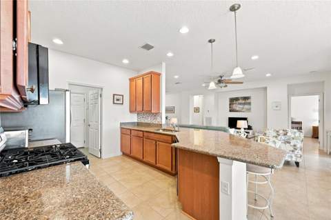 381 Silver Maple Road, Groveland FL - photo 14 of 46