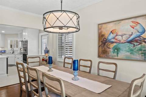 47 Aegean Avenue, Tampa FL - photo 11 of 59