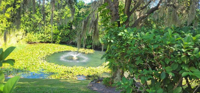 3 bedroom Townhouse at 1004 Old Mill Pond Road, Gleneagles Cluster, Palm Harbor — photo 2